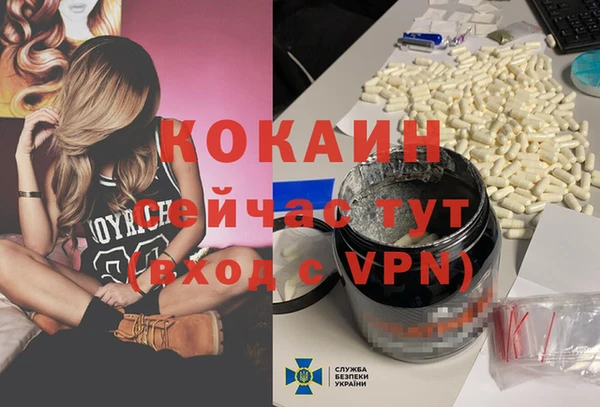 твердый Дмитриев