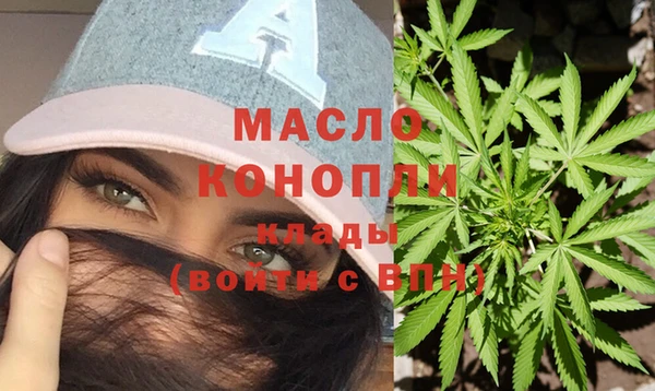 твердый Дмитриев